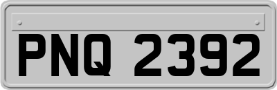 PNQ2392
