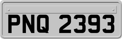 PNQ2393