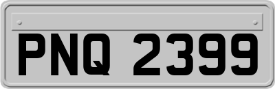 PNQ2399