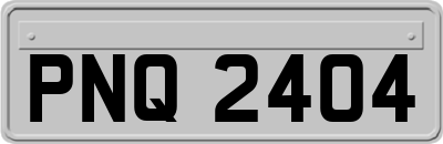 PNQ2404