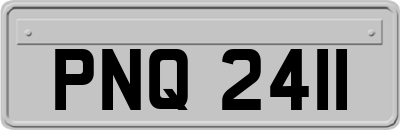 PNQ2411