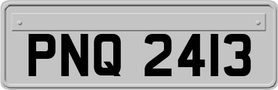 PNQ2413