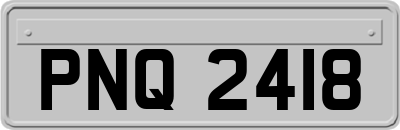 PNQ2418