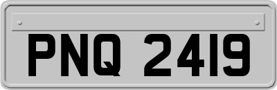PNQ2419