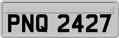 PNQ2427
