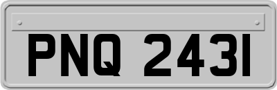 PNQ2431