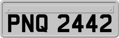 PNQ2442