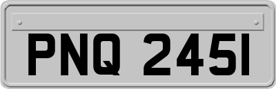 PNQ2451