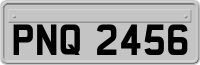 PNQ2456
