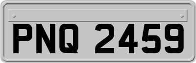 PNQ2459