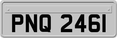 PNQ2461