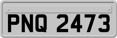 PNQ2473