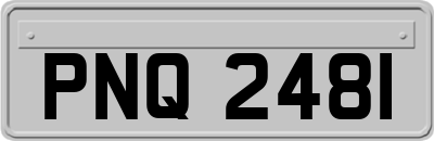 PNQ2481