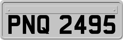 PNQ2495