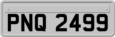 PNQ2499