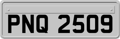 PNQ2509