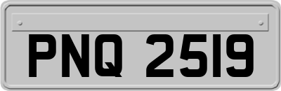 PNQ2519