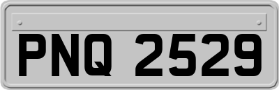 PNQ2529