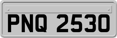 PNQ2530