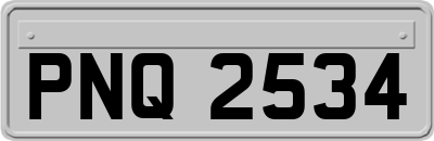 PNQ2534