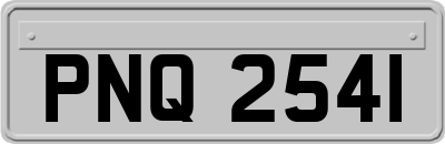 PNQ2541