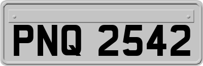 PNQ2542