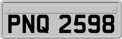PNQ2598