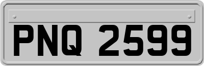 PNQ2599