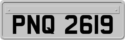 PNQ2619