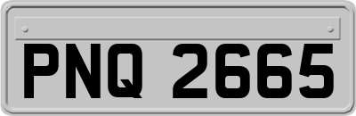 PNQ2665