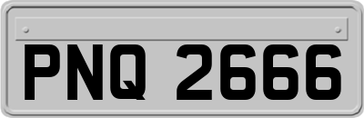 PNQ2666