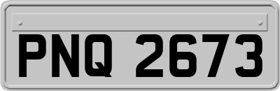 PNQ2673
