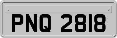 PNQ2818