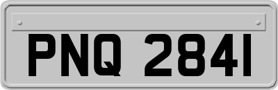 PNQ2841