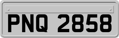 PNQ2858