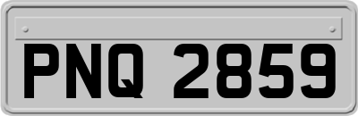 PNQ2859