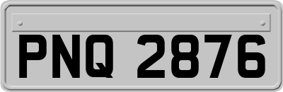 PNQ2876