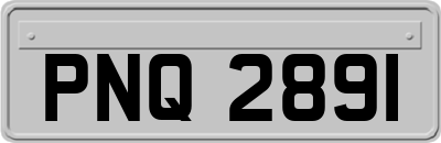 PNQ2891