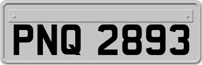 PNQ2893