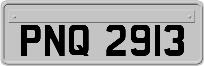 PNQ2913