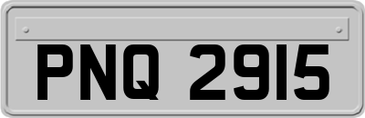 PNQ2915