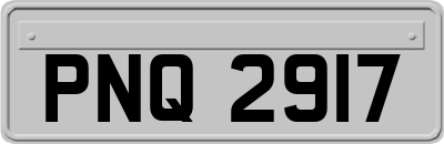 PNQ2917