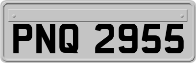PNQ2955