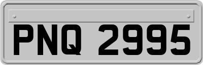 PNQ2995