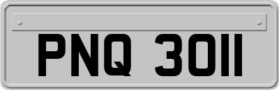 PNQ3011