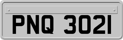 PNQ3021