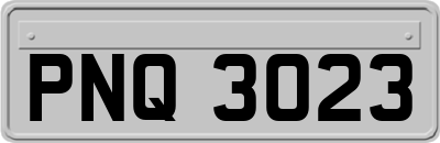 PNQ3023