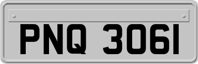 PNQ3061