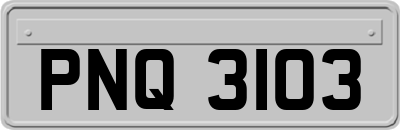 PNQ3103