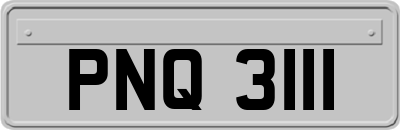 PNQ3111